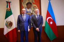 Azerbaijan’s newly appointed ambassador presents copy of credentials to Mexico’s Foreign Ministry (PHOTO)