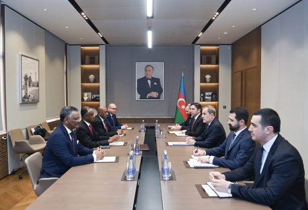 Azerbaijani foreign minister holds talks with Sudanese deputy FM (PHOTO)
