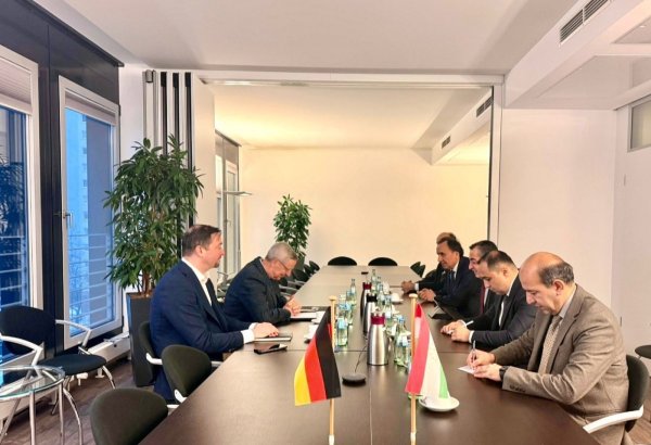 Tajikistan and Germany discuss roadmap for growing co-op in key areas