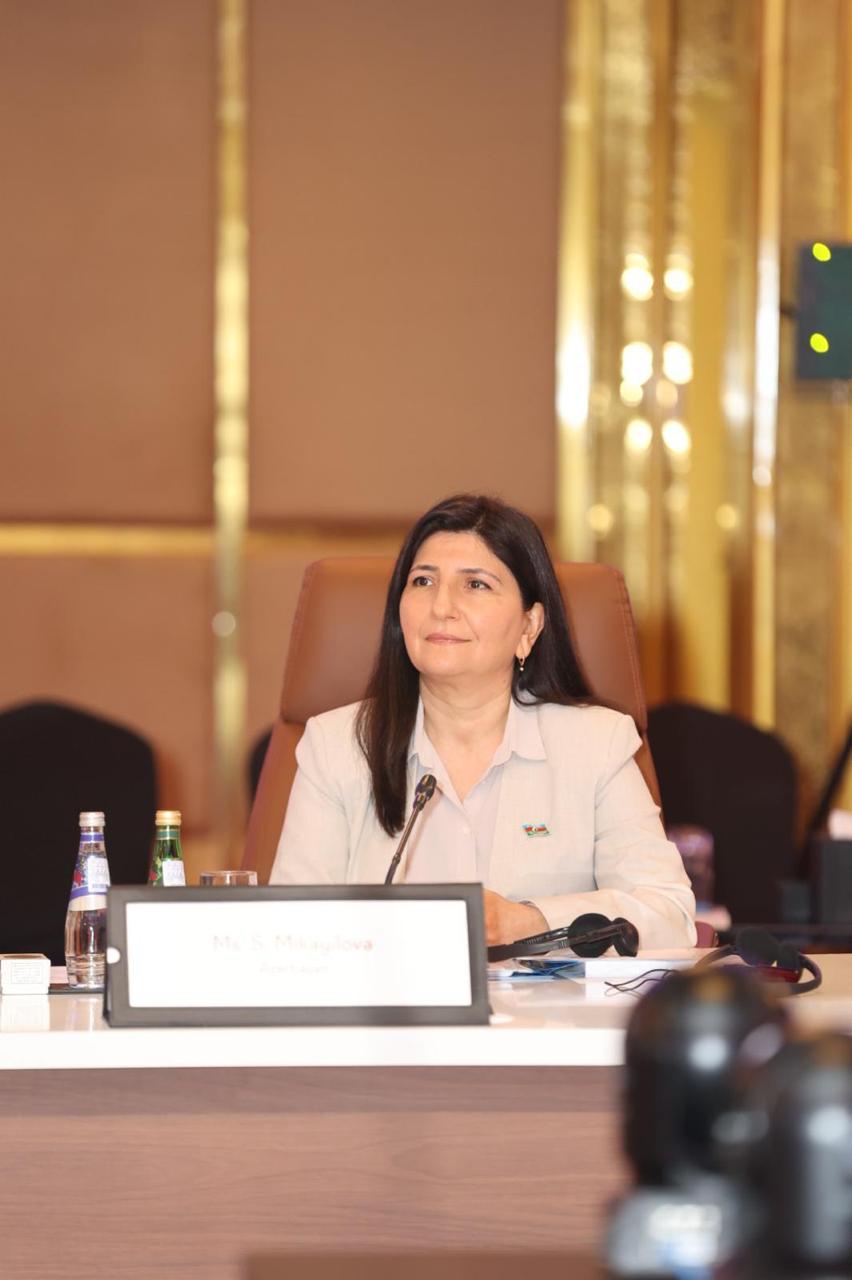 IPU Executive Committee 298th Session underway in Doha with participation of Azerbaijani representative (PHOTO)