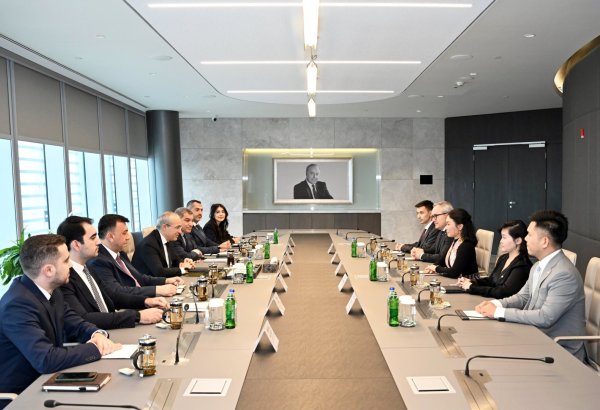 Azerbaijan evaluates co-op with Vietnamese company on production of electric vehicles