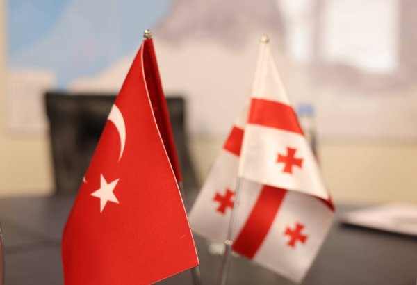 Türkiye's remittances flow to Georgia shows strong growth in Dec. 2025
