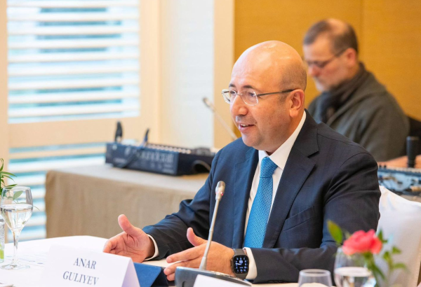 WUF13 Coordinator shares Azerbaijan's experience in global housing crisis solution (PHOTO)