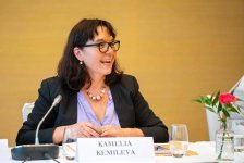 WUF13 Coordinator shares Azerbaijan's experience in global housing crisis solution (PHOTO)