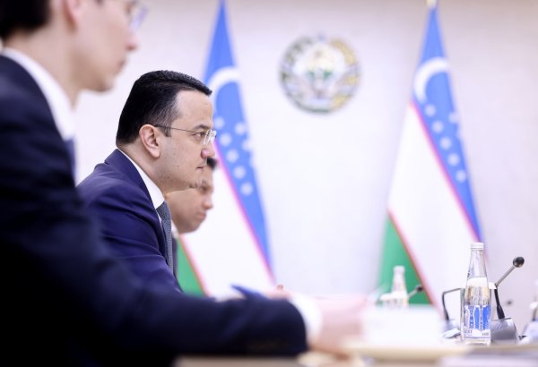 Uzbekistan eyes automotive cooperation with Egypt’s Mansour Automotive Group