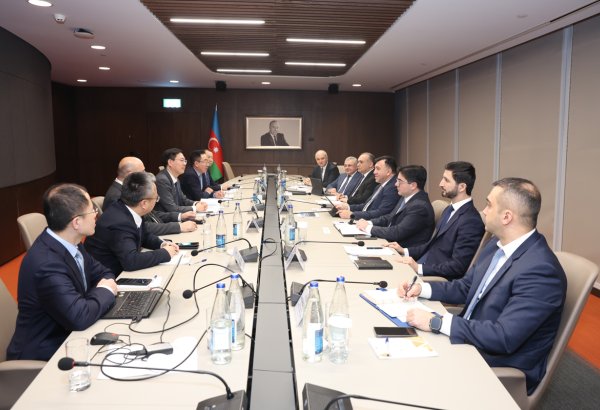 Chinese firms explore joint aluminum production projects in Azerbaijan
