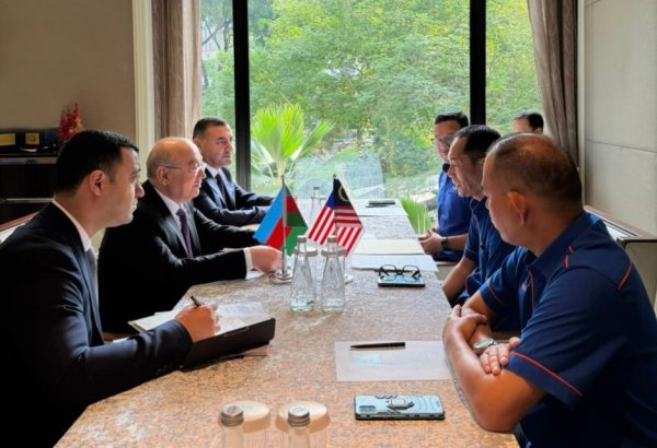 Azerbaijan and Malaysia discuss international cooperation on emergency management (PHOTO)