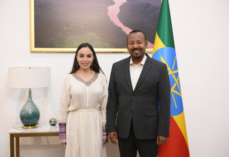 Heydar Aliyev Foundation VP Leyla Aliyeva meets with Ethiopian Prime Minister (PHOTO)
