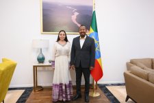 Heydar Aliyev Foundation VP Leyla Aliyeva meets with Ethiopian Prime Minister (PHOTO)