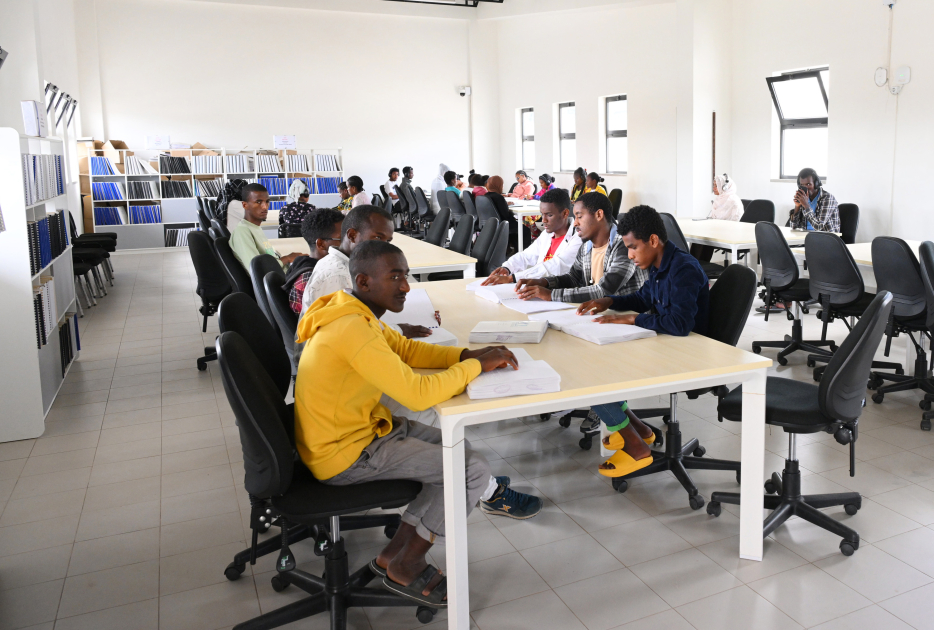 Heydar Aliyev Foundation VP Leyla Aliyeva visits social and cultural institutions in Addis Ababa (PHOTO)