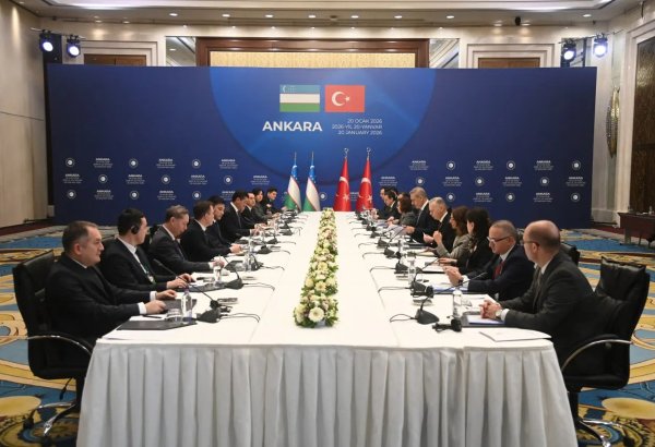 Uzbekistan, Türkiye review cooperation in trade and energy security