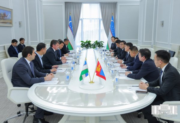 Uzbekistan, Mongolia step up cooperation on capital development