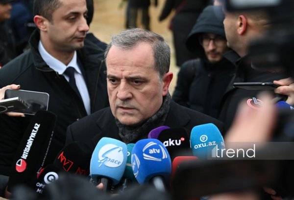 Azerbaijan’s FM sheds light on condition of citizens in Iran