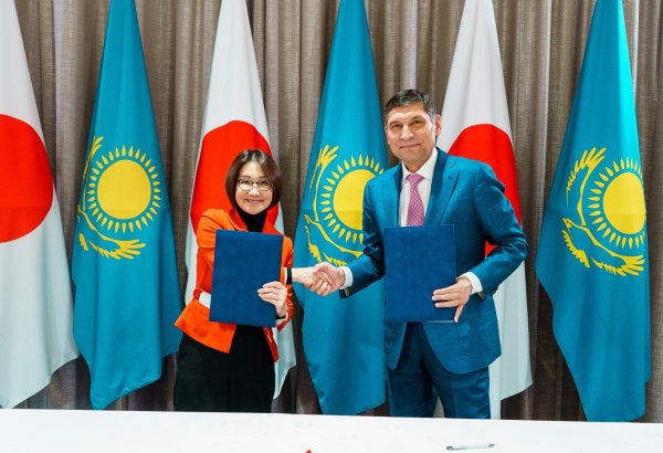 Kazakhstan's Turkestan region to set up hybrid mini power plant (Exclusive)