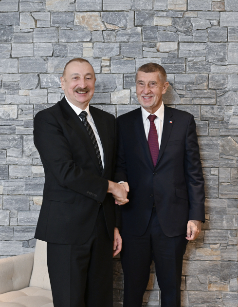 President Ilham Aliyev meets with Prime Minister of Czech Republic in Davos (PHOTO/VIDEO)