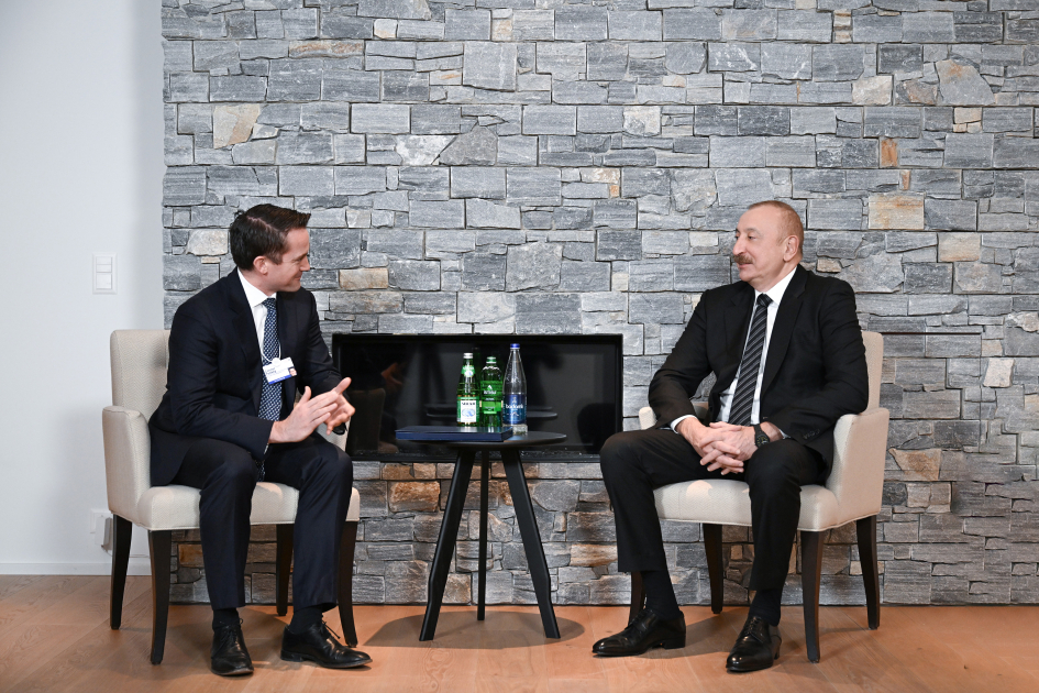President Ilham Aliyev meets with President of Brookfield Asset Management in Davos (PHOTO/VIDEO)