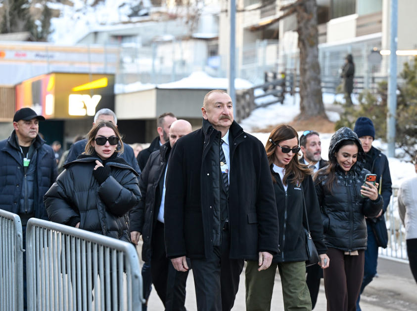 President Ilham Aliyev participates in panel session as part of World Economic Forum (PHOTO/VIDEO)