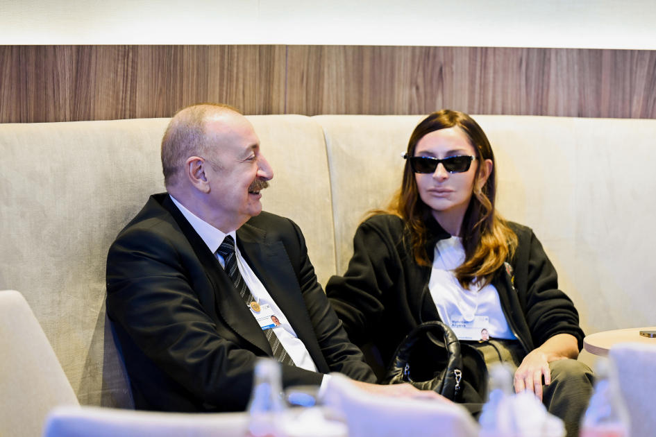 President Ilham Aliyev participates in panel session as part of World Economic Forum (PHOTO/VIDEO)