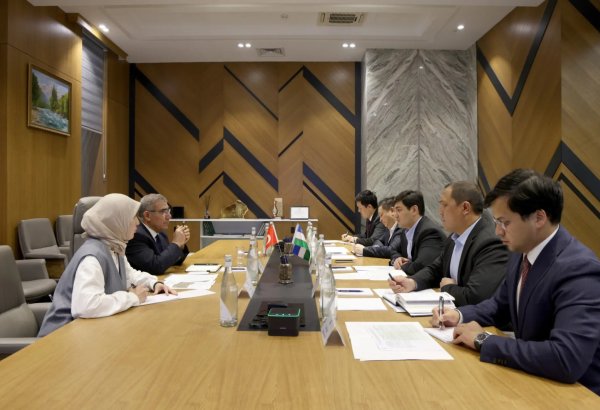 Uzbekistan, Türkiye eye new mining investment opportunities