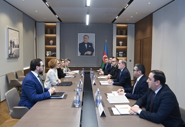 Azerbaijan discusses mine action co-op avenues with NATO (PHOTO)