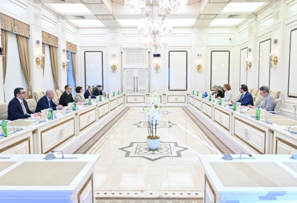 Speaker of Azerbaijani Parliament meets with deputy SecGen of NATO