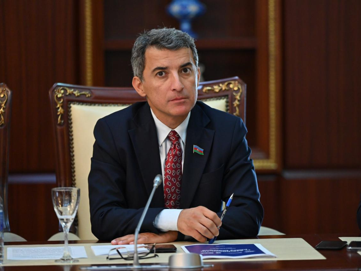Azerbaijani MP stresses private sector’s vital role in AI tech integration
