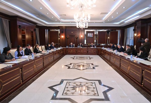 Azerbaijani Parliament's Human Rights Committee holds year's first meeting (PHOTO)