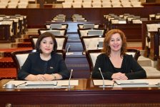 Azerbaijani Parliament Speaker meets with Speaker of Spanish Congress of Deputies (PHOTO)