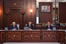 Azerbaijani Parliament's Human Rights Committee holds year's first meeting (PHOTO)