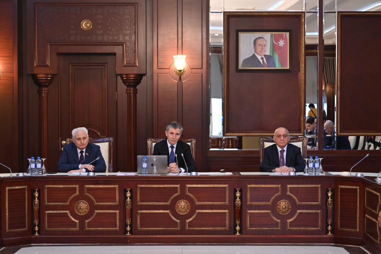 Azerbaijani Parliament's Human Rights Committee holds year's first meeting (PHOTO)