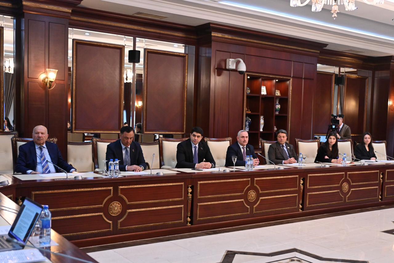 Azerbaijani Parliament's Human Rights Committee holds year's first meeting (PHOTO)