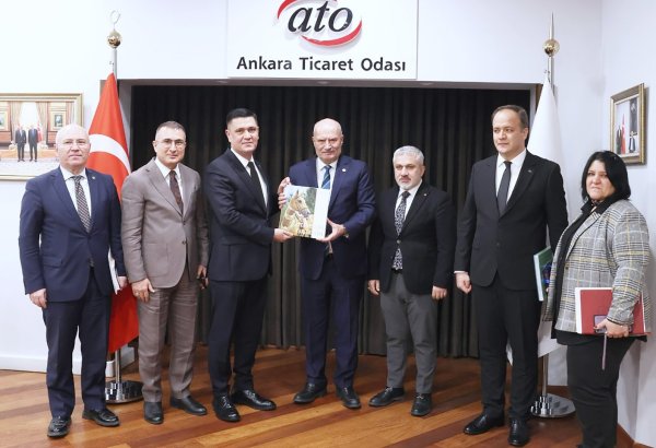 Turkmenistan, Türkiye eye broader cooperation in key economic sectors