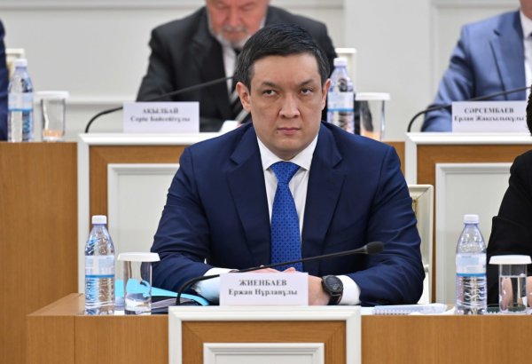 Kazakhstan lays out Vice President's responsibilities and authority