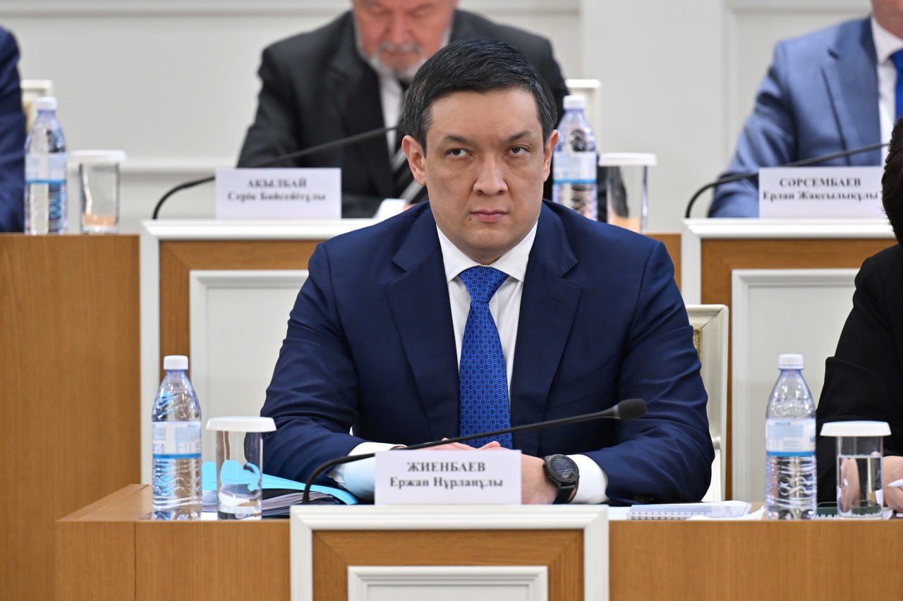 Kazakhstan lays out Vice President's responsibilities and authority