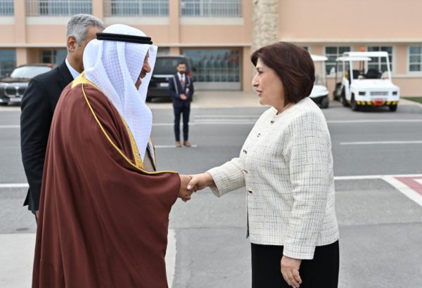 Speaker of Azerbaijani Parliament Sahiba Gafarova arrives in Kingdom of Bahrain on visit (PHOTO)