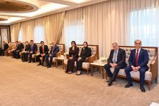 Speaker of Azerbaijani Parliament Sahiba Gafarova meets with Chairman of Consultative Council of Kingdom of Bahrain Ali bin Saleh Al Saleh (PHOTO)