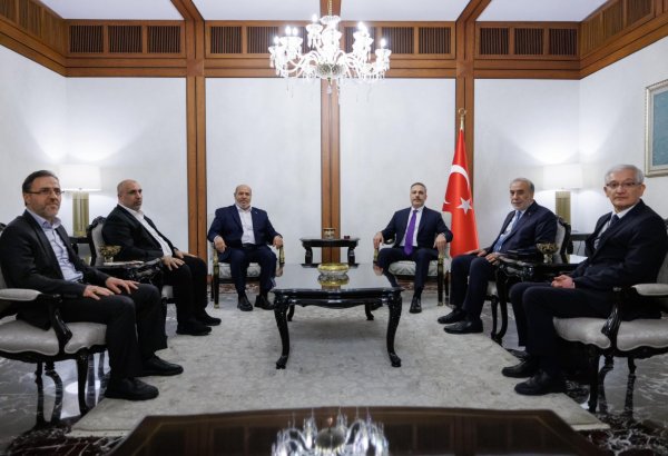 Turkish FM discusses situation in Gaza with member of Hamas's Political Bureau