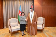 Azerbaijan, UAE focus on strengthening parliamentary ties (PHOTO)