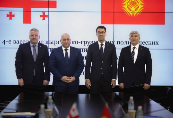 Kyrgyzstan and Georgia discuss strategies to broaden cooperation