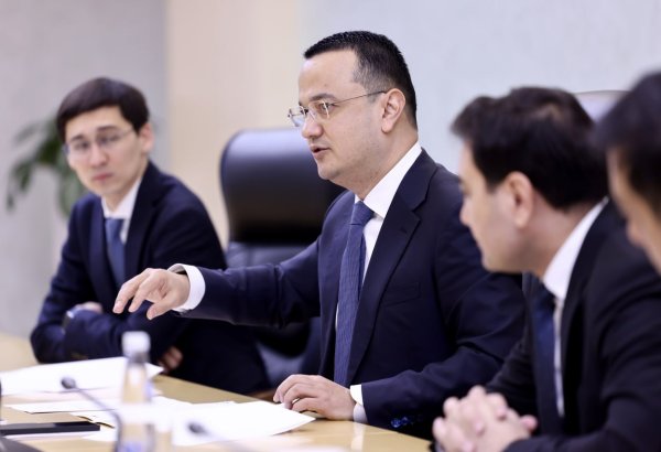 Uzbekistan discusses rollout of large-scale projects with Global Infrastructure Partners