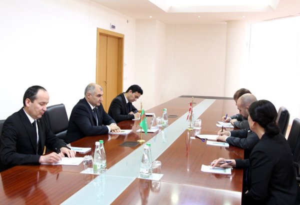 Turkmenistan, Canada discuss expansion of trade and economic ties