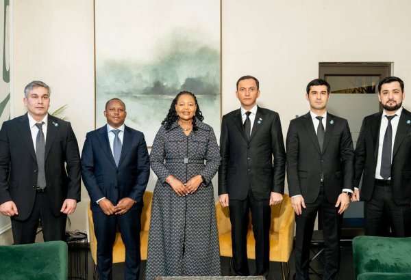 Turkmen business delegation visits Eswatini to discuss cooperation