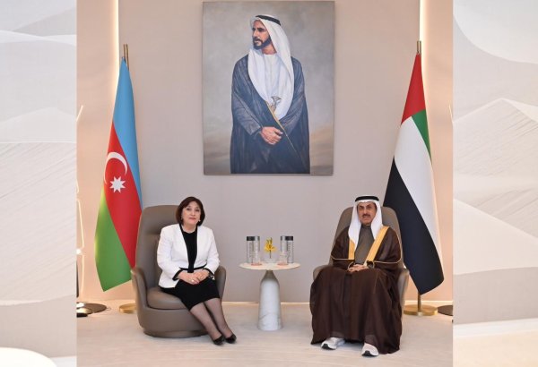 Azerbaijani parliament speaker visits United Arab Emirates (PHOTO)