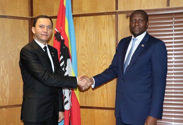 Turkmen business delegation meets Eswatini PM to discuss investment and trade