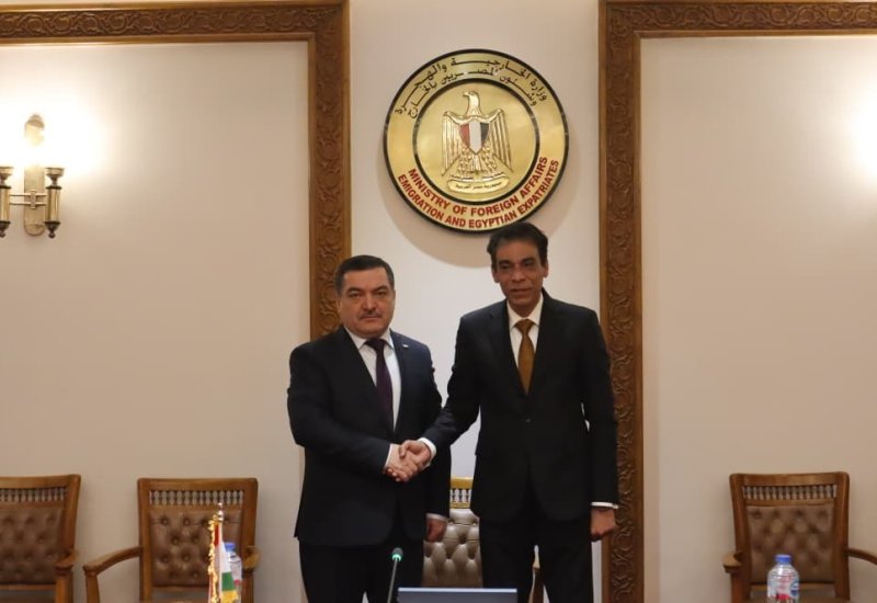Tajikistan, Egypt discuss consular relations and bilateral ties