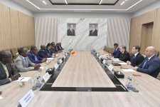 Azerbaijan and Chad discuss cooperation in ICT sector (PHOTO)