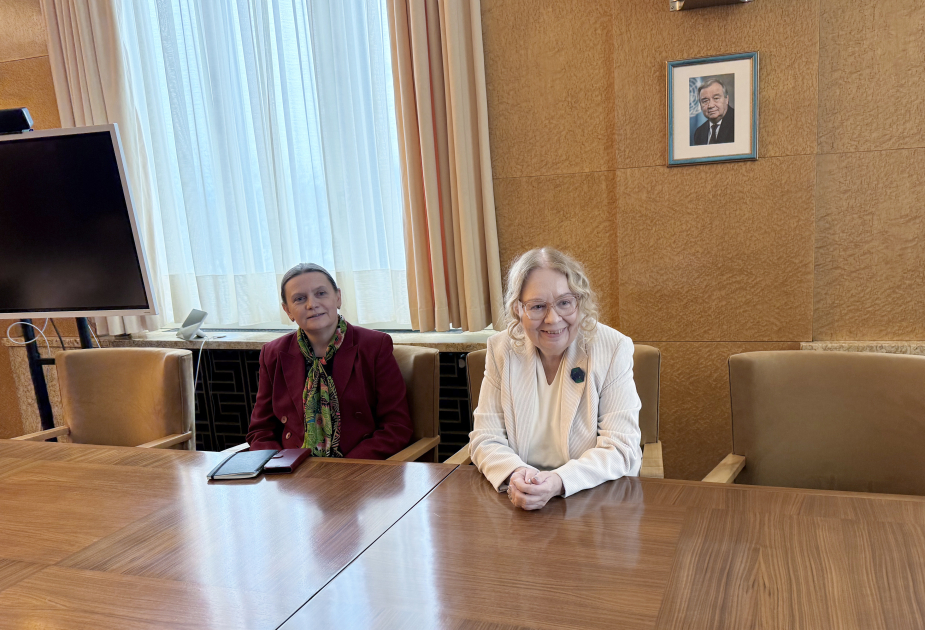 Heydar Aliyev Foundation VP Leyla Aliyeva meets with Director-General of UN Office at Geneva (PHOTO)