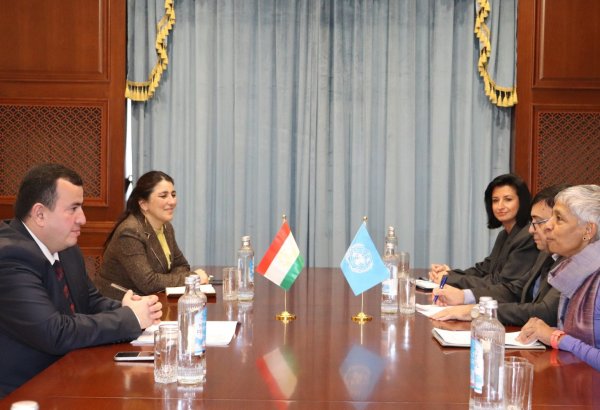 Tajikistan and UN discuss cooperation in sustainable development