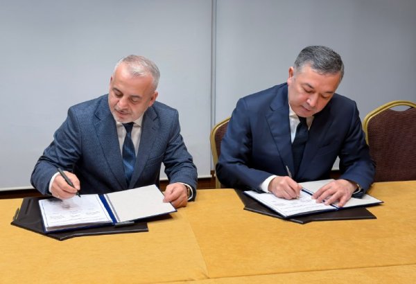 Uzbekistan to send specialists to Türkiye’s Akkuyu nuclear power plant