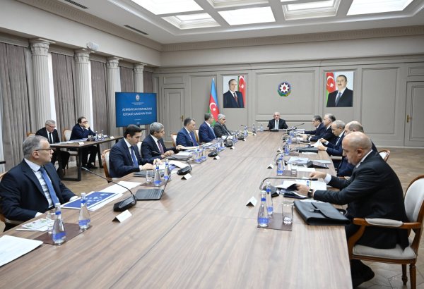 Azerbaijan's Economic Council digs deep into strategic issues at meeting (PHOTO)